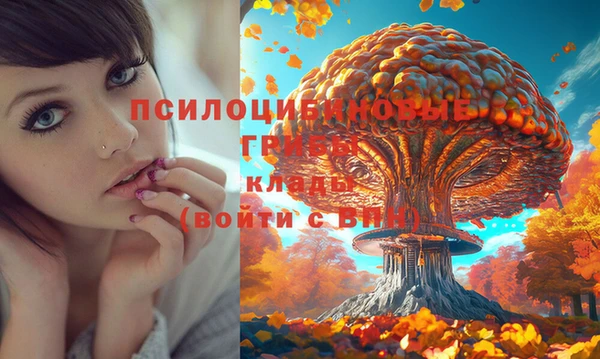 соль курить ск Бронницы