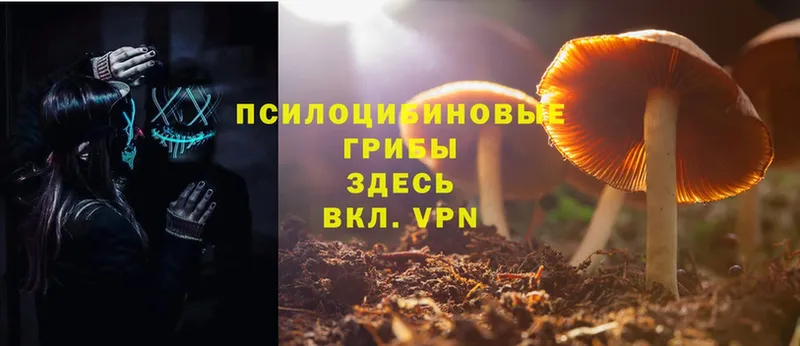 нарко площадка формула  Аткарск  Псилоцибиновые грибы Cubensis 